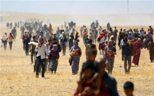 Yazidi refugees