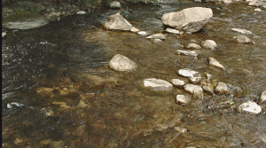 The pristine waters of a healthy Virginia stream – entirely “unimpaired.”