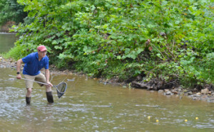 David Ward waits to make the measure of flow in the Creek