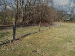 Fencing by a stream