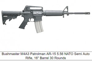 Guns_AR15_Bushmaster_AR