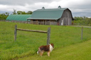 Along Long Lane Road