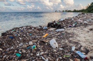 Plastic waste threatens ocean wildlife