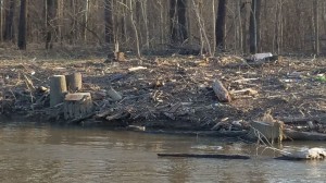 The Trump golf course Potomac shoreline